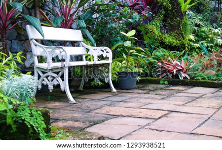 Chair in the  garden