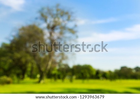 Blurred photo Wide lawn with tall trees with clear sky