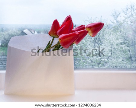 Red tulips stand in an envelope on the window. There are blurry trees behind the glass.
