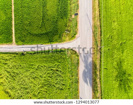 aerial view of t-juction with no car in paddy field plantation
