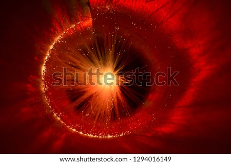 Abstract composition. Bright red ball like a comet flying in space. Selective focus.