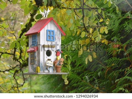 beautiful bird house