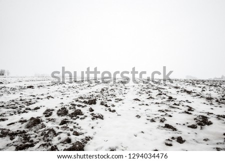 A view of the snow-covered country field with a forest in the background on a cloudy winter day, Latvia