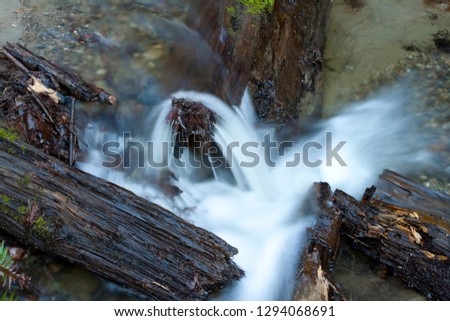 a picture of an exterior Pacific Northwest forest stream 