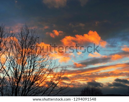 Beautiful and colorful sunset with tree branches silhouette shadow in new england torrington connecticut united states.