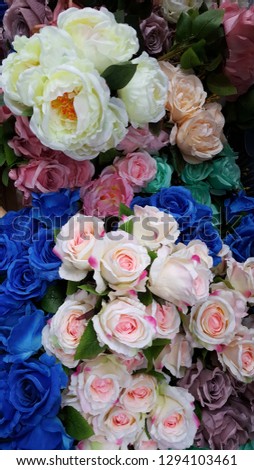 flowers of various colors