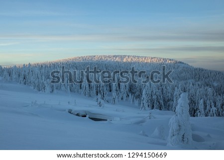 Snieznik Mountains, sunrise
