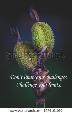 Inspirational and motivational quotes - Don't limit your challenges. Challenge you limits.
