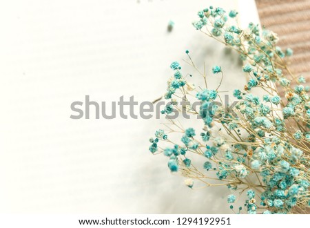 Book on a scarf and light blue dried flowers