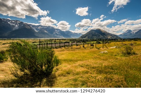 Hiking and treking in wild nature of New Zealand. Nature landscape photo of autumn meadow with green bush, hills and mountains in background. Summer travelling in Mt Aspiring national park.