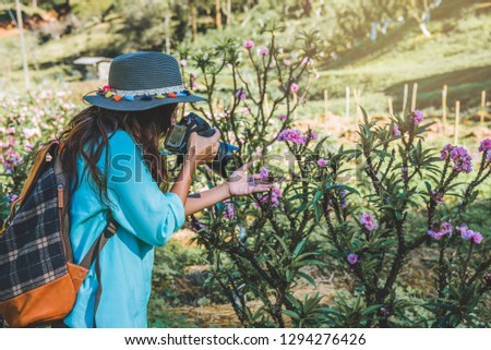 Asian woman travel nature. Travel relax. Standing photographing beautiful pink apricot flowers at apricot garden.