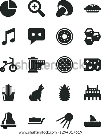Solid Black Vector Icon Set - bell vector, zoom, camera roll, pie chart, child bicycle, music, artificial satellite, piece of cheese, porcini, cake slice, fried potato slices, honeycombs, half kiwi