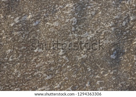 Sand, ice, snow. Brown, gray and white colors. Natural surface, abstraction. Side lighting.