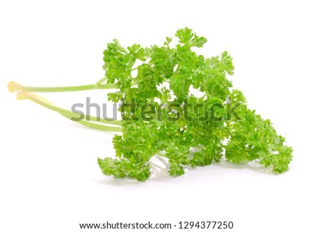 Parsley fresh herbs  provide a range of health benefits enhance the flavor or presentation of a dish isolated over white background