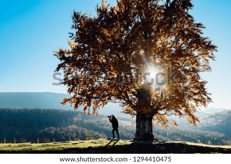 A man stands by a lone tree and photographs a magnificent view of the mountains