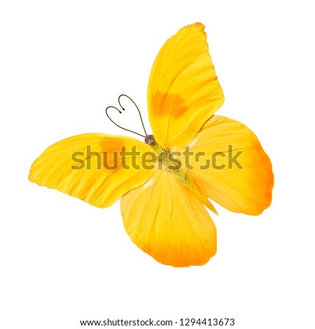 butterfly with heart shaped antennas. isolated on white background