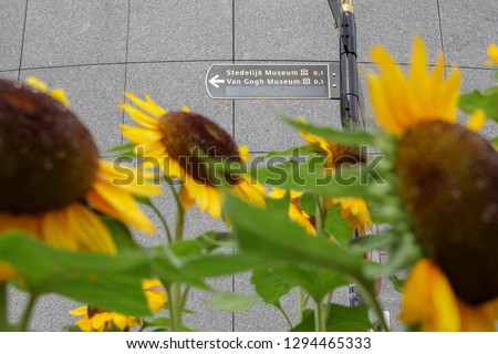 A sign pointing to the Van Gogh Museum and the Stedelijk Museum in Amsterdam, the Netherlands, through bright yellow sunflowers, which van Gogh made iconic in his paintings. Royalty-Free Stock Photo #1294465333