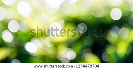 Natural green background, blurred bokeh.