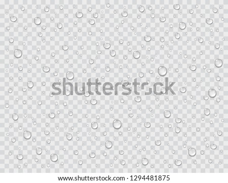 Water rain drops or steam shower isolated on transparent background. Realistic pure droplets condensed. Vector clear vapor water bubbles on window glass surface for your design. Royalty-Free Stock Photo #1294481875