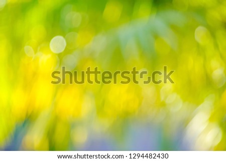 Natural background, blurred colors and sunlight, summer holiday ideas, background, bokeh or green energy 