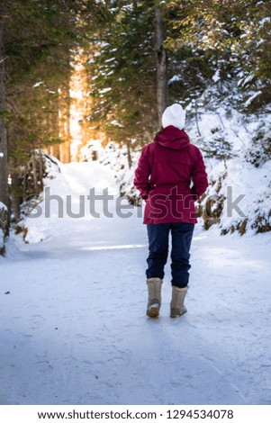 pretty girl in winter clothes walking in a forest path covered i