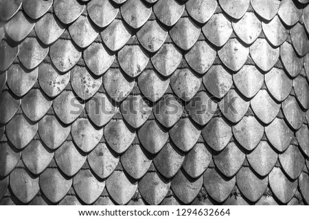 Chain armour element made of the steel plates Royalty-Free Stock Photo #1294632664