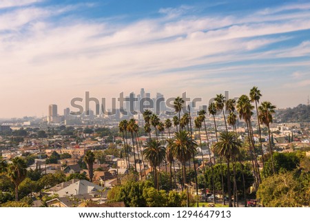 City skyline of Los Angeles in California during sunset with beautiful palm trees in the foreground.