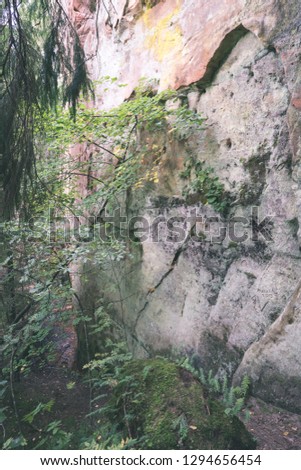 red sandstone cliffs with tourist trail on river of gauja, Latvia in summer - vintage retro look