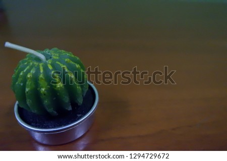 Scented candles with a cactus shape