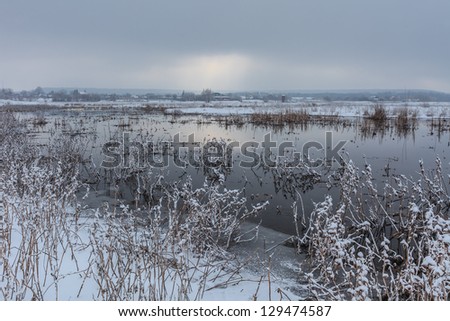  lake in winter. Location: Comana Natural Park, Romania.
