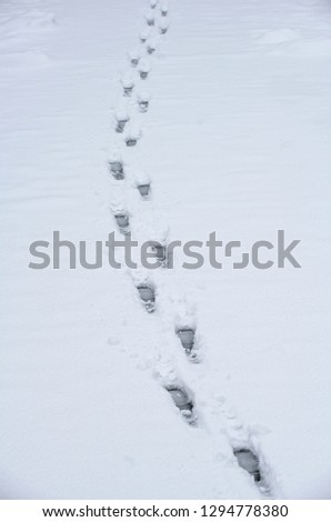 Traces in the snow. Winter background.