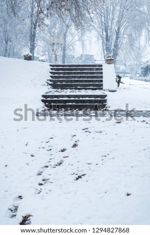Stone stairs in a forest area covered with snow