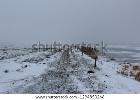 Winter rural landscape of a polder with frozen fields in the Netherlands.