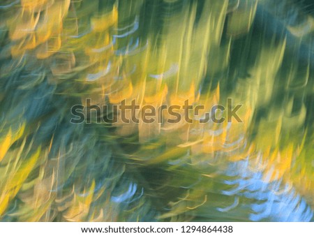 Abstract image. Movement effect of palm leaves with green, yellow, blue and white colors.