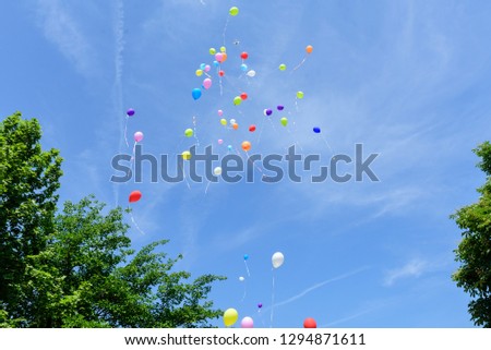 Multicolored balloons flying between green trees and blue sky - Image