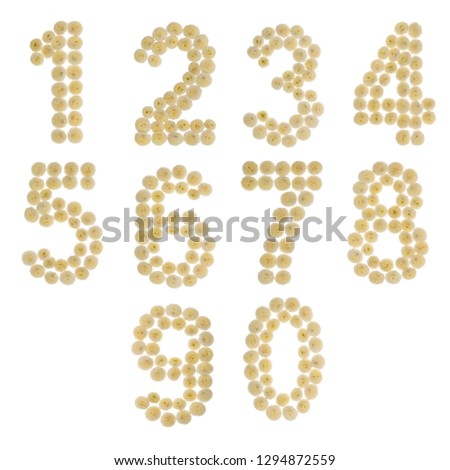 Set of arabic numbers from natural beige flowers of chrysanthemum, isolated on white background