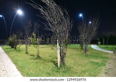 Night illuminated public park in the city