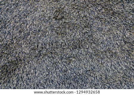 Mixture of dark, grey, black and white Saxony Cut Pile carpet material. Lust fuzzy monotone pile carpet floor. Royalty-Free Stock Photo #1294932658