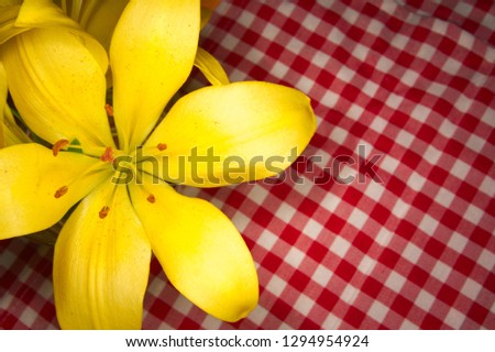 Yellow lilies on table with red background