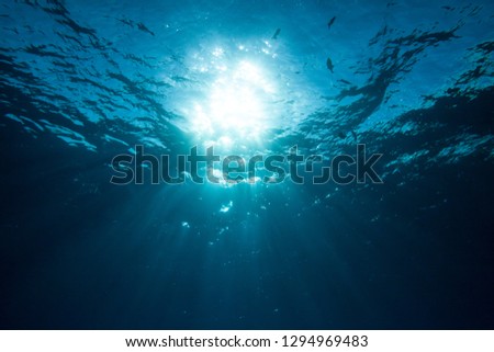 Underwater Looking up at Sunburst Royalty-Free Stock Photo #1294969483