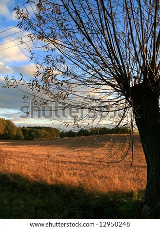 landscape Poland