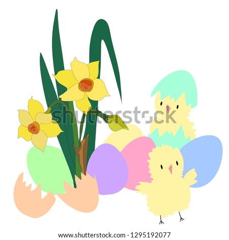 Easter eggs and chicken under daffodils vector graphics