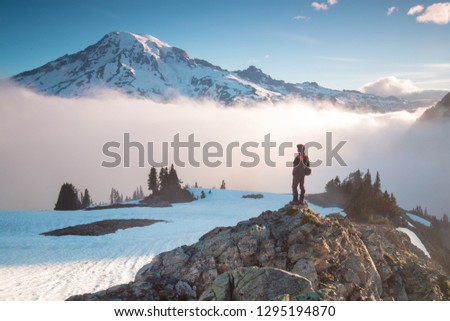 Man on the mountain peak looking on mountain valley with low clouds at colorful sunrise in autumn in Mount Rainier National park, Washington, USA. Landscape with traveler, foggy hills. Alone tourist 