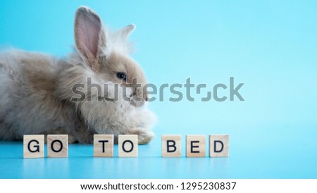 Text go to bed on wooden plate with blurred sleepy rabbit in blue background
