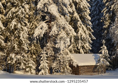 Rustic barn in the middle of a forest in winter. Picture taken in Finland. 