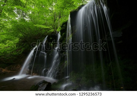 Water curtain in the forest of Hyogo, Japan