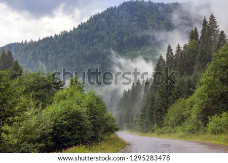 Bend of a mountain road in a foggy forest