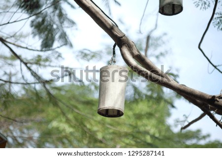Paper lanterns hanging on the tree