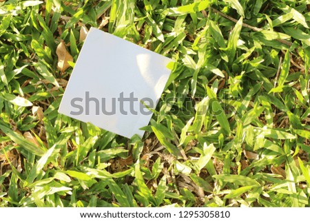 torn paper on grass background with copy space for text