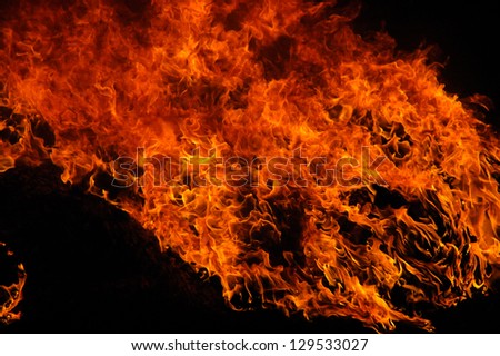Real Flames isolated on black background